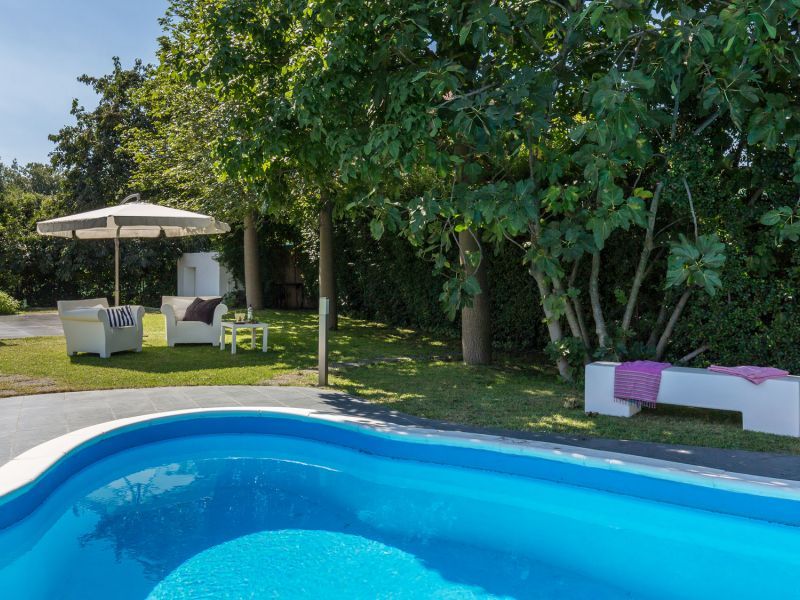 The swimmimg-pool.
